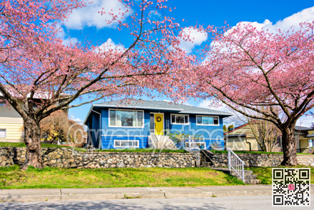 Average single family house with front yard on land terrace.