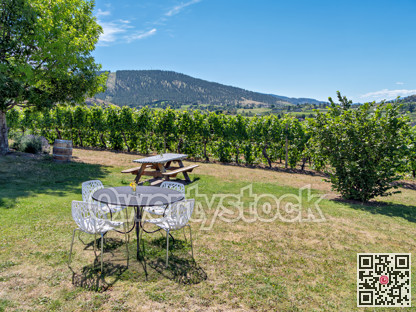 Rural cafe with beautiful pastoral overview of vineyard and mountains