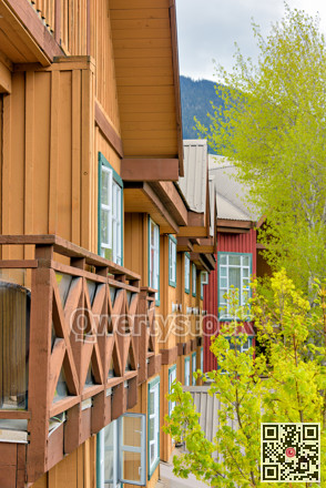 Windows and roofs of residential townhouses with growing-out trees on side