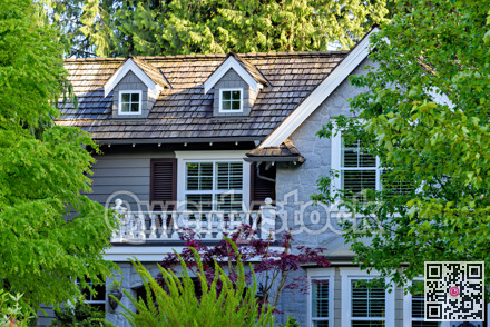 Top of frontside luxury residential house in shadow of the trees