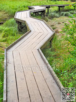Wooden flooring pathway over the swampy terrain