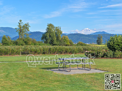 Recreational area with a table and benches on farmland overlooking Mount Baker