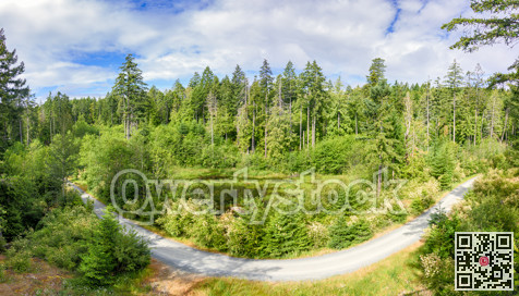 Forest landscape with gravel road around a small pond in the middle