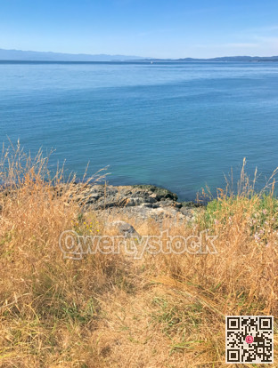 Seascape viewe at the bay on Pacific ocean from Vancouver island