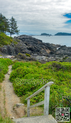Steps and pathway to the water of Pacivic ocean