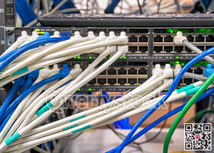 Ethernet cables connected to the network equipment