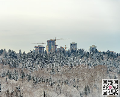 City in the park cityscape on winter season