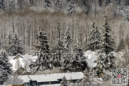 Roofs of low-rise buildings covered with snow