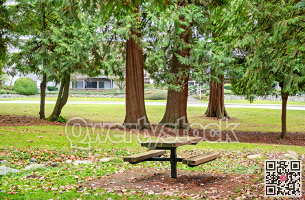 Recreational zone with wooden table in residential area
