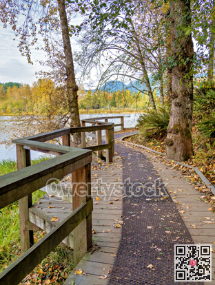 Plank floor of the walkway along Lafarge lake in Coquitlam, BC, Canada
