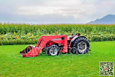 Red tractor with front loading bucket under the rain on green lawn