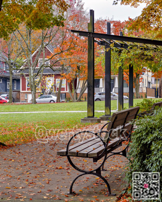 Wood and metal bench in a park on autumn season