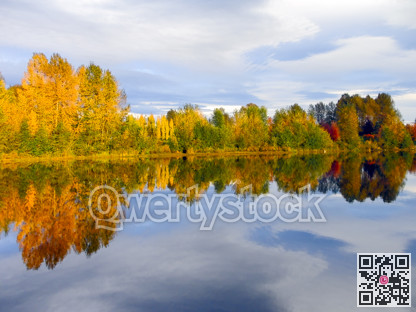 Autumn colored trees on cloudy sky background with reflections