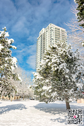 Pathway in a park to new residential building on sunny winter day