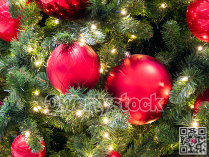 Red bauble with golden ornament on pine tree brench