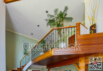 Decorative tree on gallery in luxury house interior.
