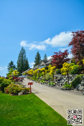 Rural area view with concrete road leading uphill to residential house