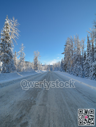 Snowed road through the winter forest in Manning Park, BC.