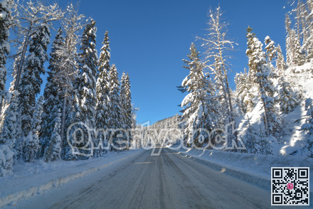 Snowed road through the winter forest in Manning Park, BC.
