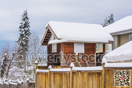 Storage sheld on back yard in snow