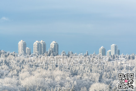 City in the snow. Residential tower buildings on bright winter day in Canada.