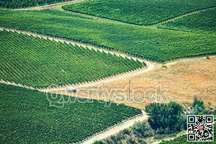 Farm lands landscape in Okanagan valley on summer day.