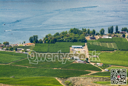 Landscape overview with farmer's land at Okanagan lake on summer day