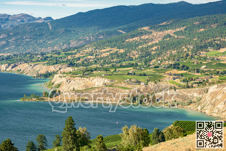Magnificent view over Okanagan lake inlet with farms on the shore