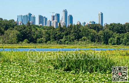 Scenery view of urban district area over nature reserve zone.