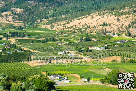 Farms land landscape on summer day in Okanagan valley
