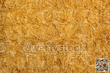 Golden straw stack tightened with straps. Texture background of straw bale