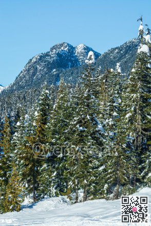Winter view on mountains and forest in snow from Olympic village in Wistler, BC.