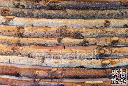 Texture of mixed birch branches. Wooden background for copy space.