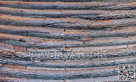 Texture of mixed birch branches. Wooden background for copy space.