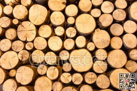 Round wood log ends natural texture backgound.