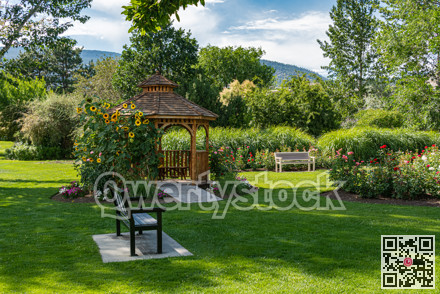 Recreation area with benches and wooden gazebo under blossoming sunflowers