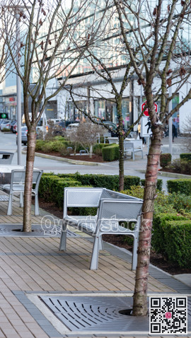 Paved walkway in a city with metal bench and highlighted trees on side
