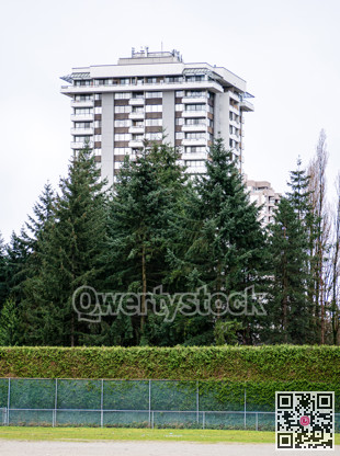 High-rise residential building behind fir trees on white sky background
