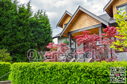 Entrance of luxury residential house with decorative red leave trees