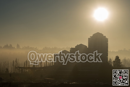 Mysterious sity in the fog. Smokey noon of forest burning summer.