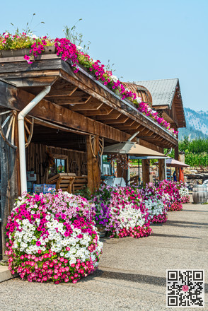 Blossoming flowers in front of a farm shop in Okanagan valley
