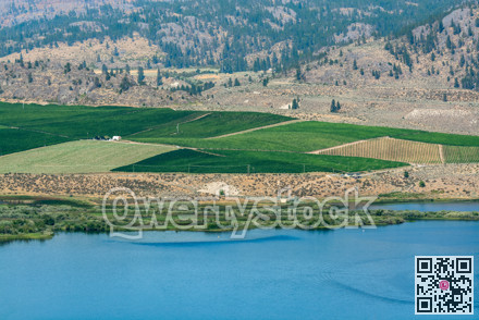 Okanagan valley scenery view with residential area and orchard farm fields