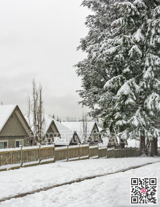 Row of residential houses in snow. Winter in Canada