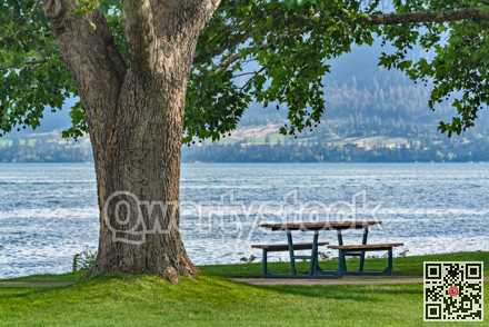 Recreational area under the crown of big chestnut tree with the lake overview