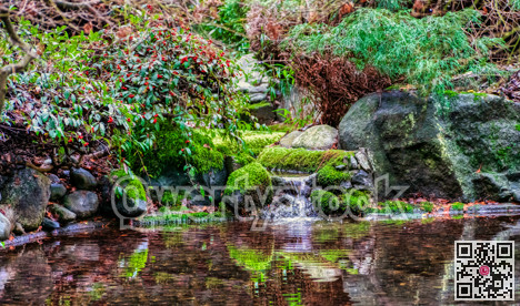 Macro background of small park laguna with a pond and stones
