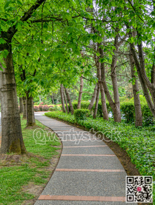 Paved pathway in a park through residential area in Vancouver, Canada