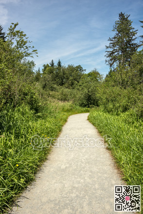 Hiking trail through a forest park on sunny summer day