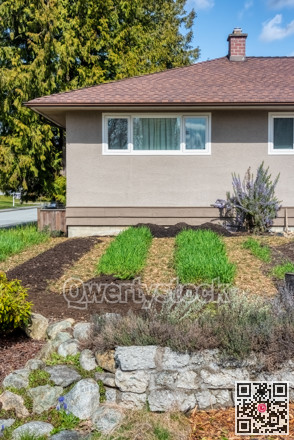 Green sprouts on garden patches in front of residential house