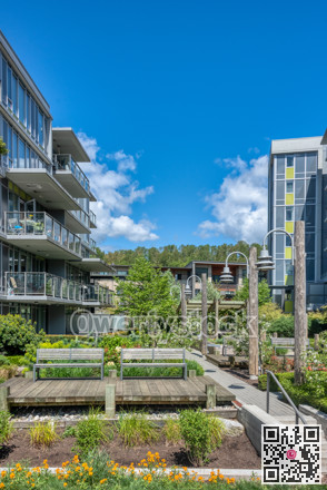 Pathway in residential park between the buildings