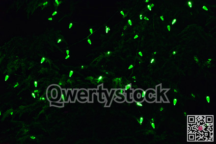 Green light balbs shaped as a pinecone among the pine leaves